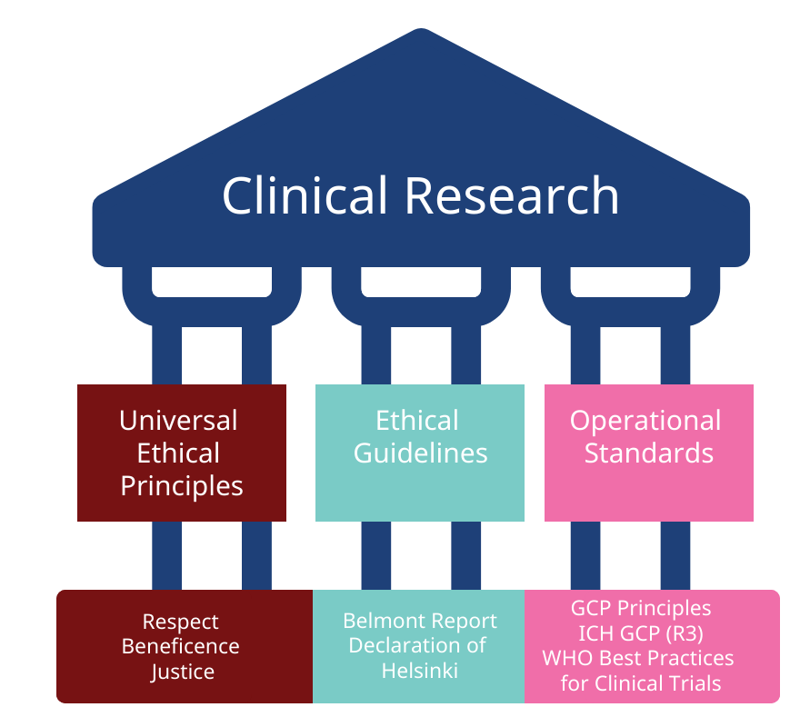 the global health network