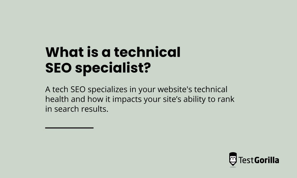 seo-specialists