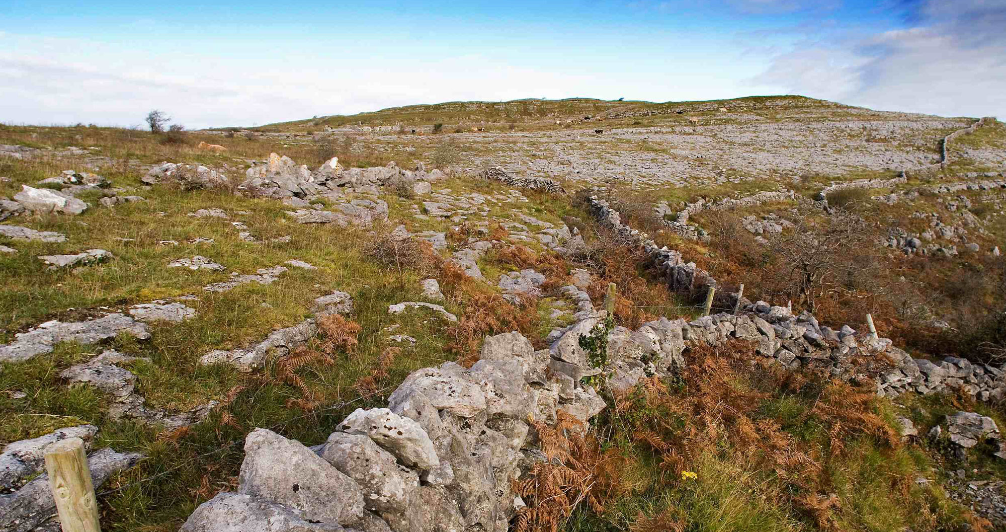 burren and cliffs of moher unesco global geopark