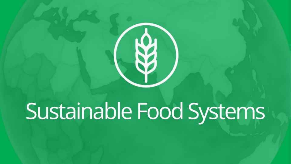 global farmers connect