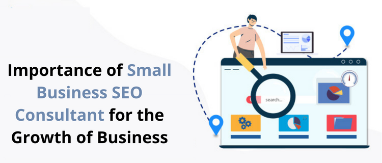 small business seo expert